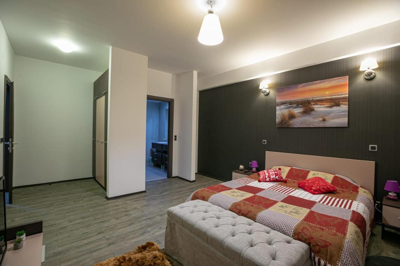 Anastasia Mountain Apartment - Poiana ブラショフ エクステリア 写真