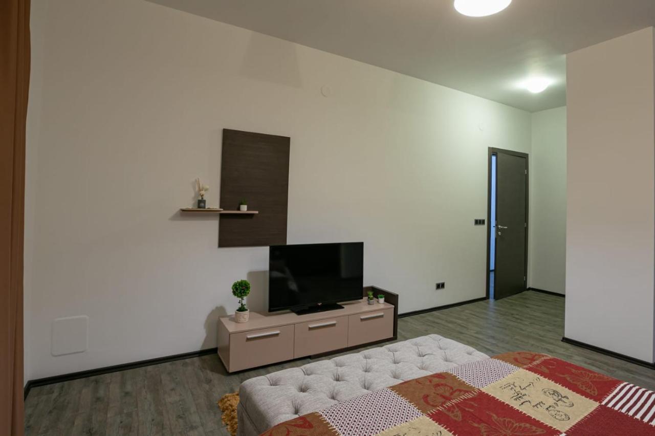 Anastasia Mountain Apartment - Poiana ブラショフ エクステリア 写真