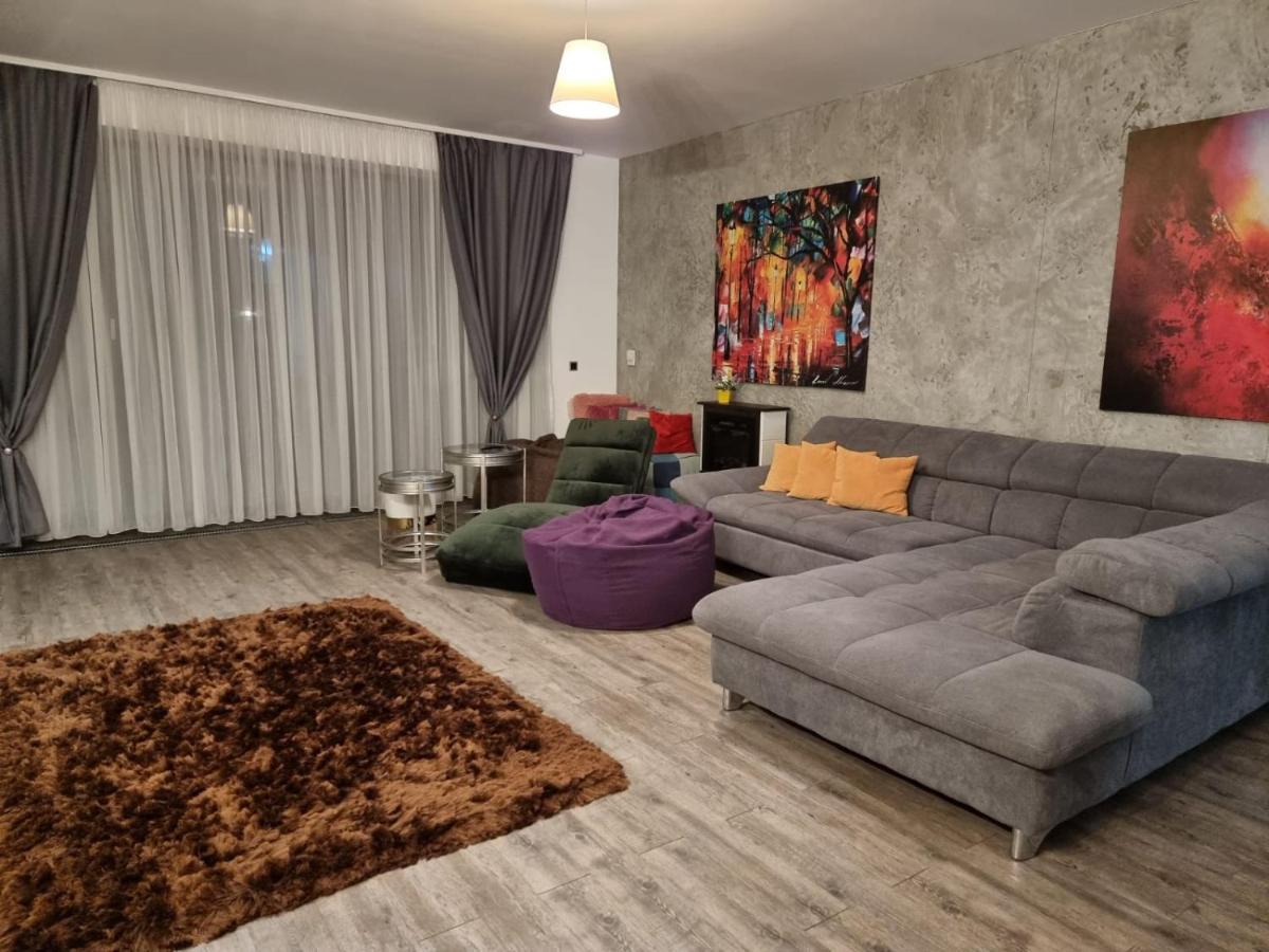 Anastasia Mountain Apartment - Poiana ブラショフ エクステリア 写真