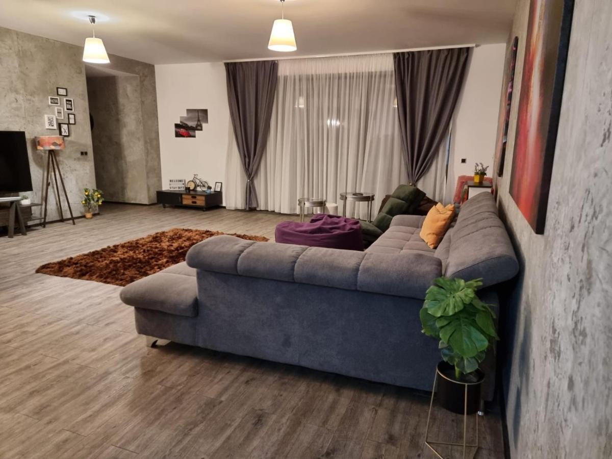 Anastasia Mountain Apartment - Poiana ブラショフ エクステリア 写真