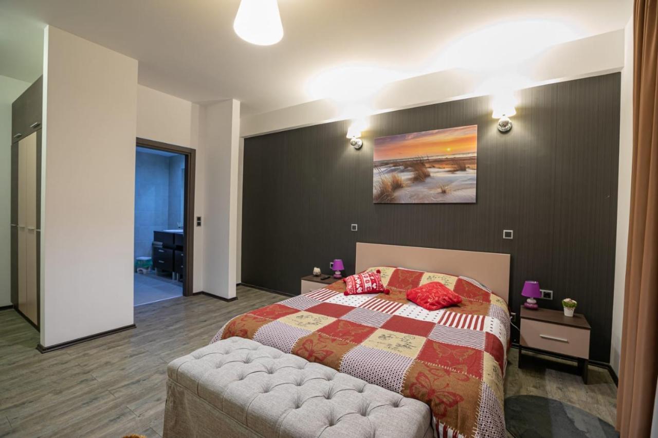 Anastasia Mountain Apartment - Poiana ブラショフ エクステリア 写真