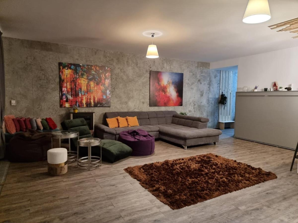 Anastasia Mountain Apartment - Poiana ブラショフ エクステリア 写真