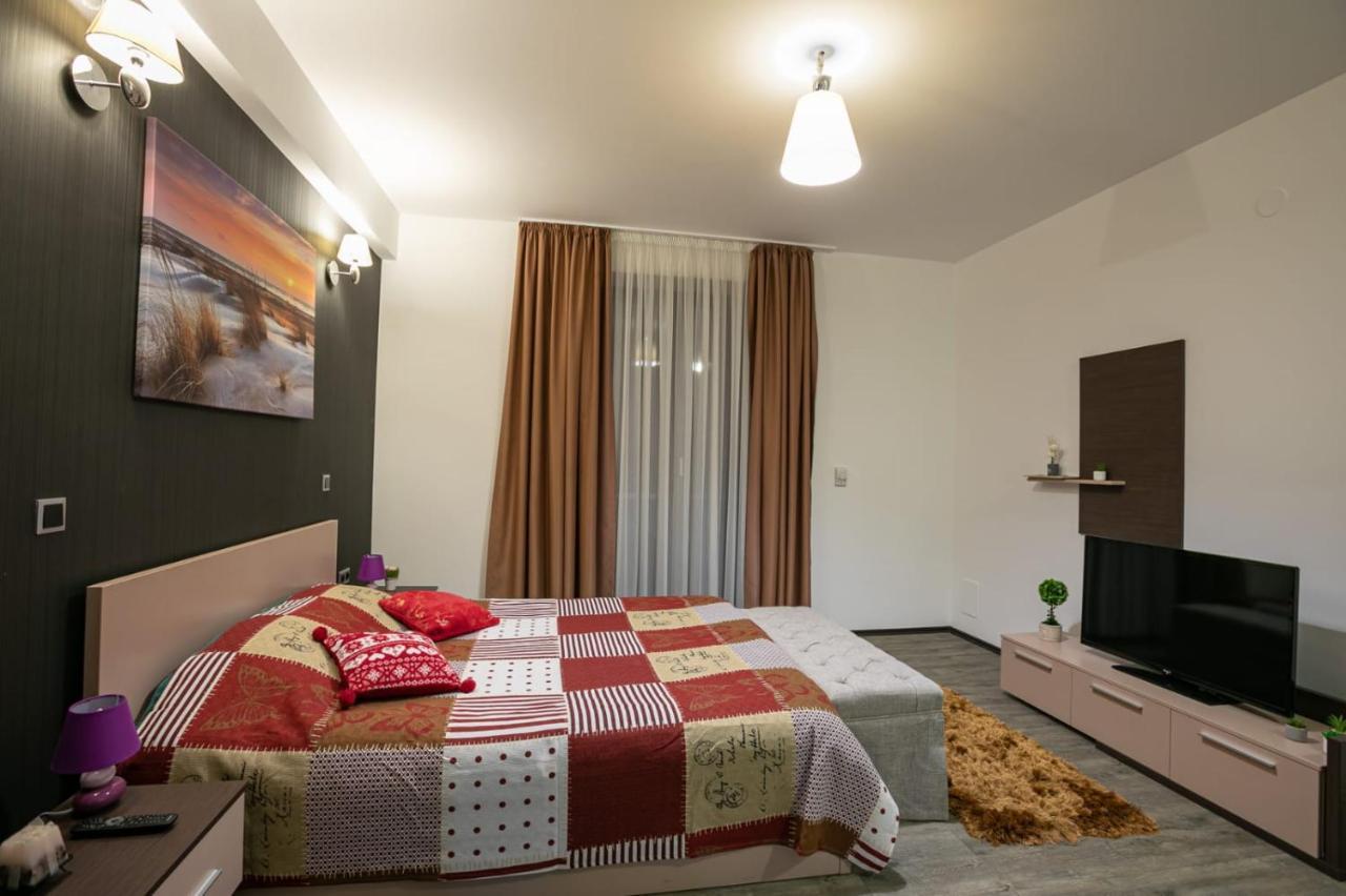 Anastasia Mountain Apartment - Poiana ブラショフ エクステリア 写真