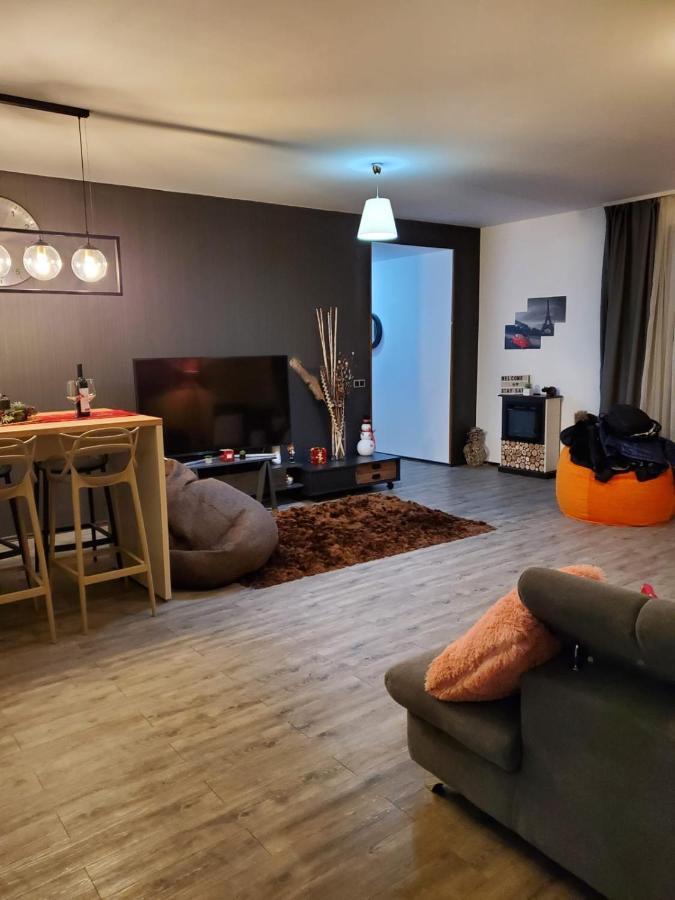 Anastasia Mountain Apartment - Poiana ブラショフ エクステリア 写真