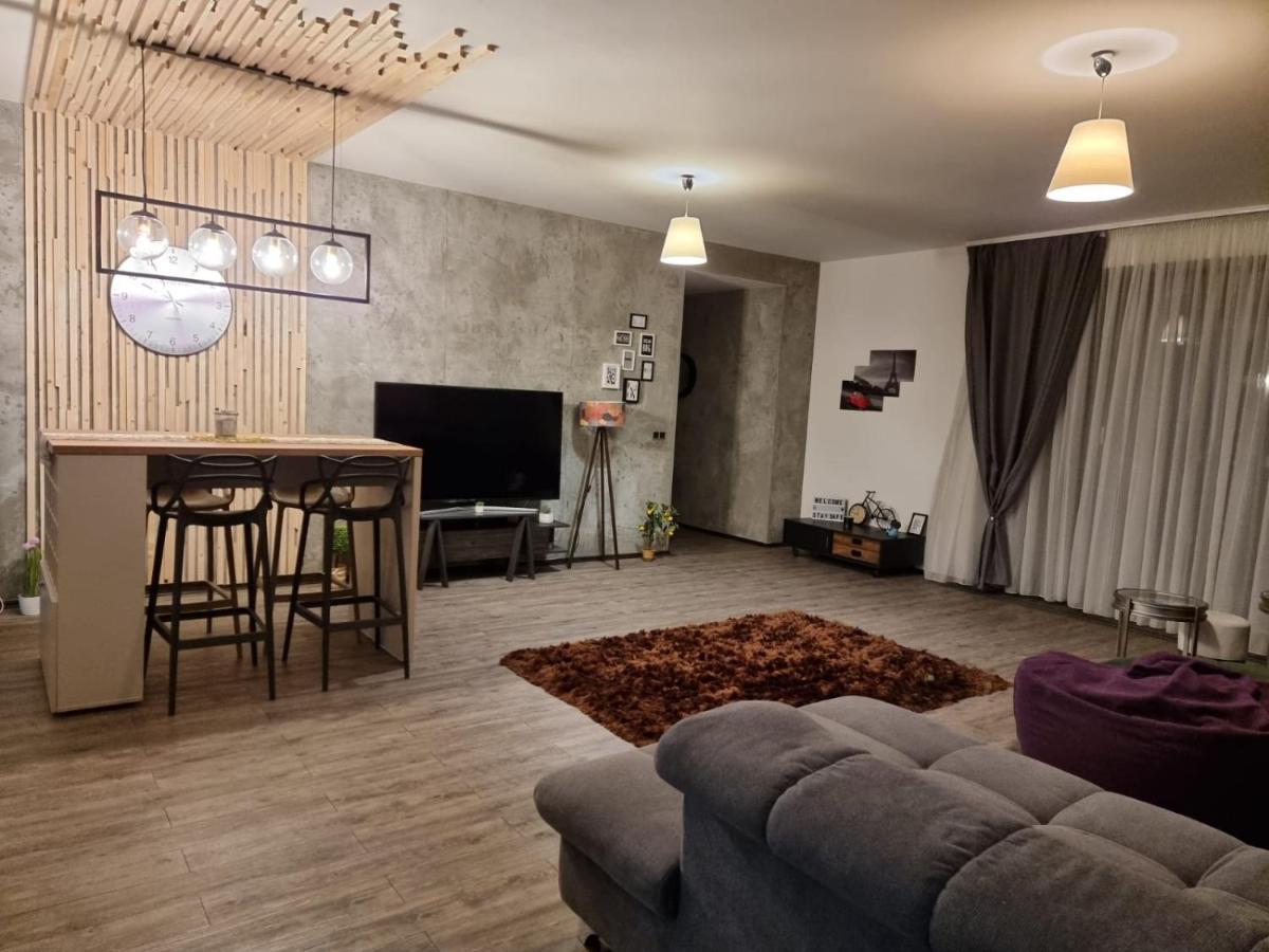 Anastasia Mountain Apartment - Poiana ブラショフ エクステリア 写真